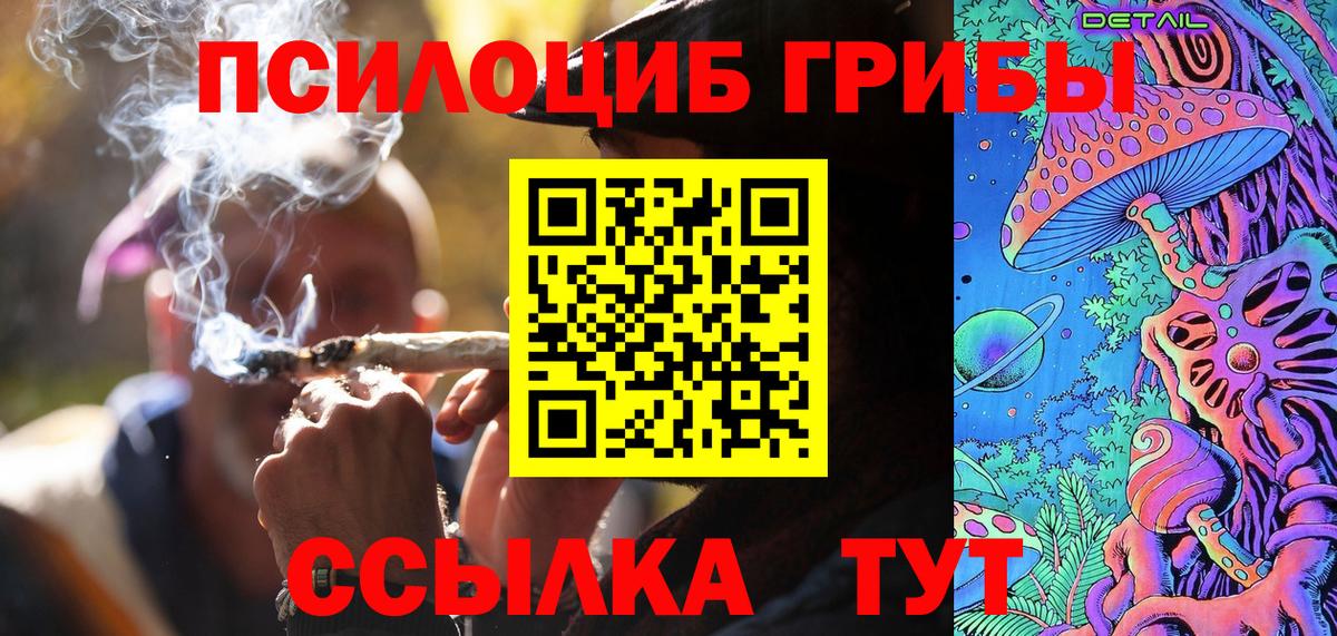 Псилоцибиновые грибы прущие грибы  Псилоцибиновые грибы ЛСД  Камышлов  купить  цена  Вход с VPN 