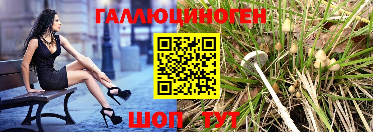 A PVP Камышлов