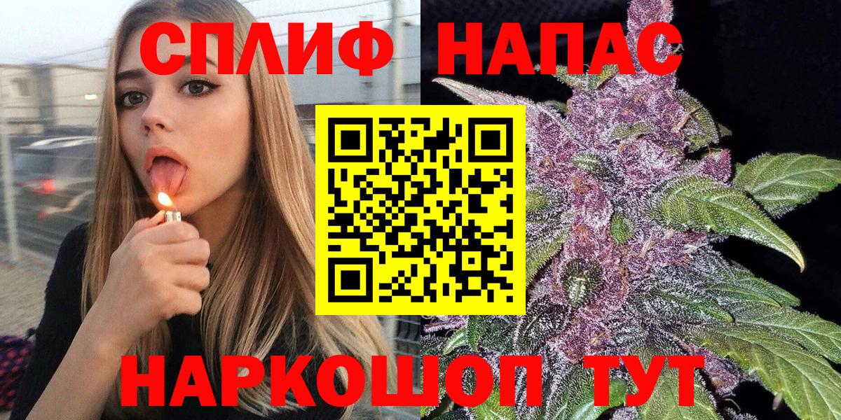 Бошки Шишки план Камышлов
